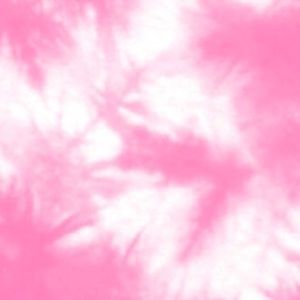 Meet your Posher, Lily